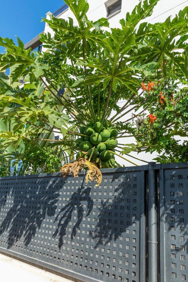 Medano4You The Strelitzia Terrace El Médano Dış mekan fotoğraf